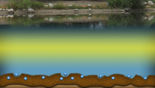 Pond cross section showing where microbe blend products work