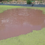 Red Wastewater Lagoon.