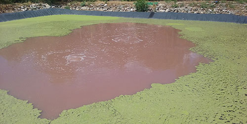 Red Wastewater Lagoon.